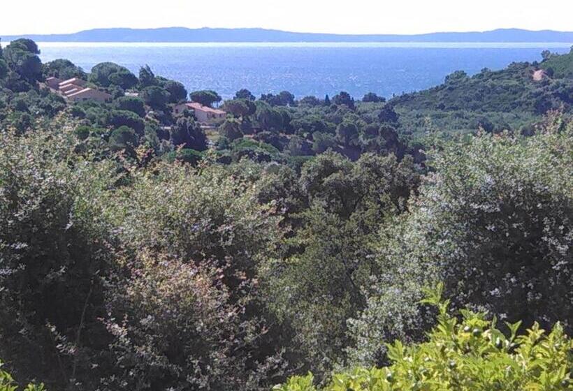 带海景的豪华间, Massacan Vue Mer