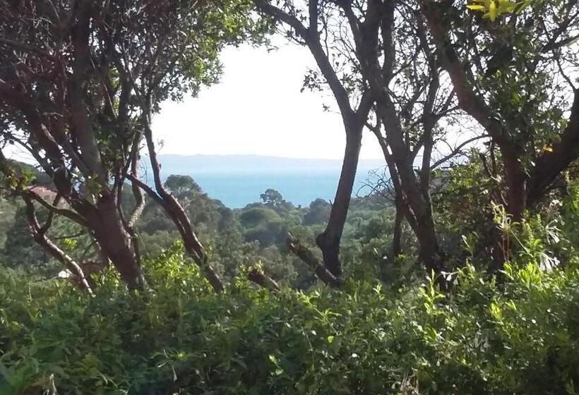 带海景的豪华间, Massacan Vue Mer