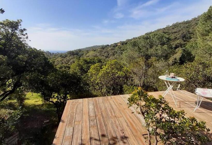 带海景的豪华间, Massacan Vue Mer