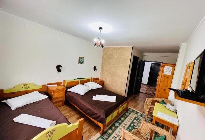 スタンダードトリプルルーム, Pensiunea Casa Boiereasca