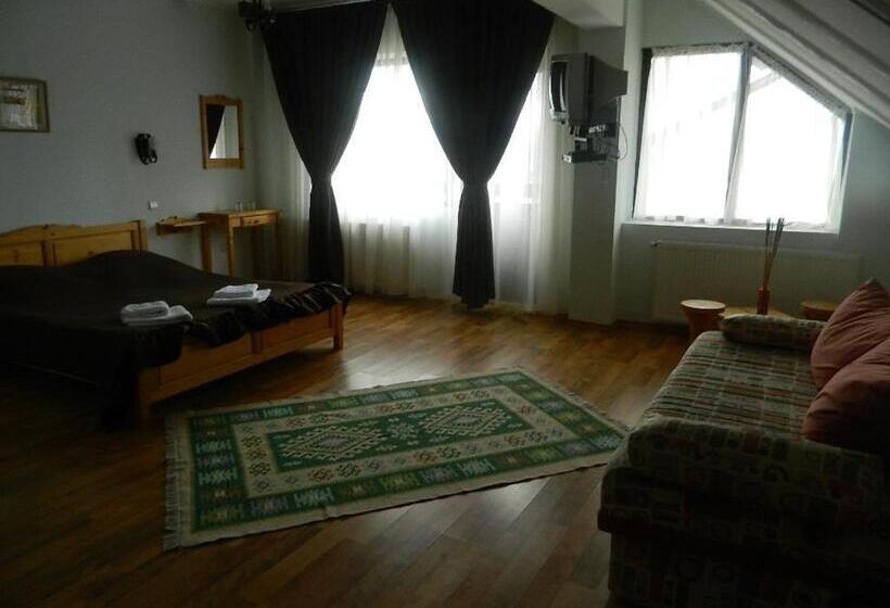 エクゼクティブルーム, Pensiunea Casa Boiereasca