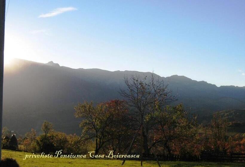 エクゼクティブルーム, Pensiunea Casa Boiereasca