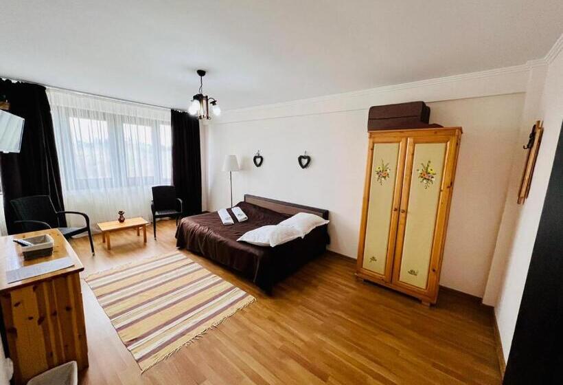침실 1개 전망 아파트, Pensiunea Casa Boiereasca