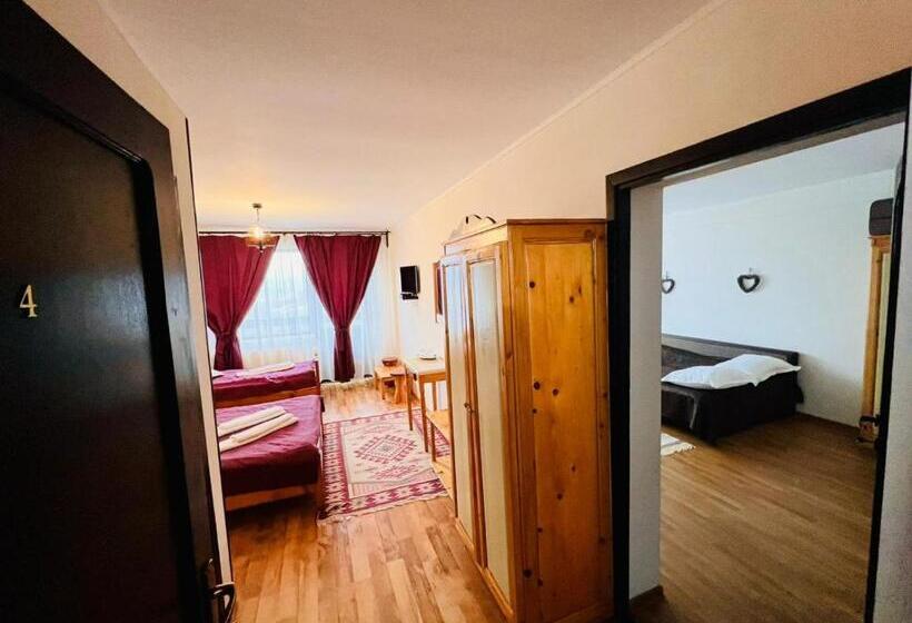 景色の見える一ベッドルームアパートメント, Pensiunea Casa Boiereasca