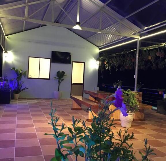 اتاق استاندارد با چشم‌انداز کوهستان, Con Son Green Island