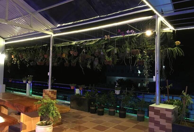 اتاق خانوادگی با چشم‌انداز کوه, Con Son Green Island