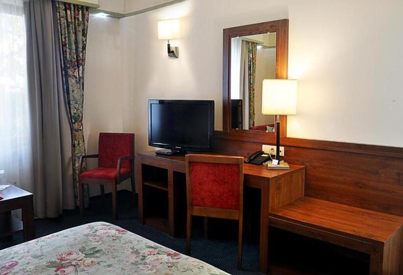 스탠다드 싱글 룸, A