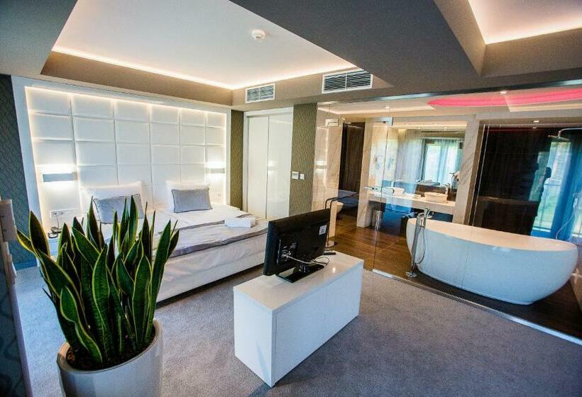 جناح ديلوكس, Astone Conference & Spa