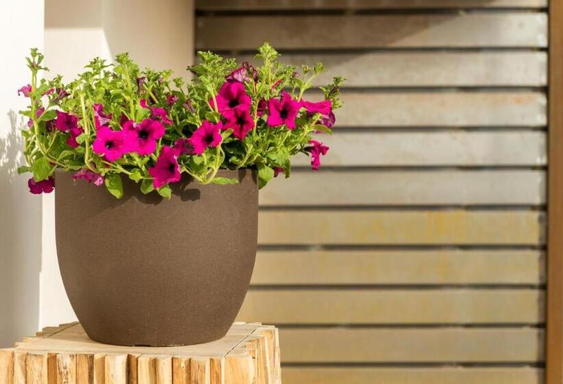 Suite with Pool, Cas Cabo Nou Agroturismo Adults Only