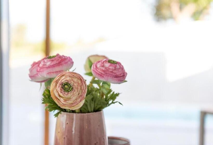 Suite with Pool, Cas Cabo Nou Agroturismo Adults Only