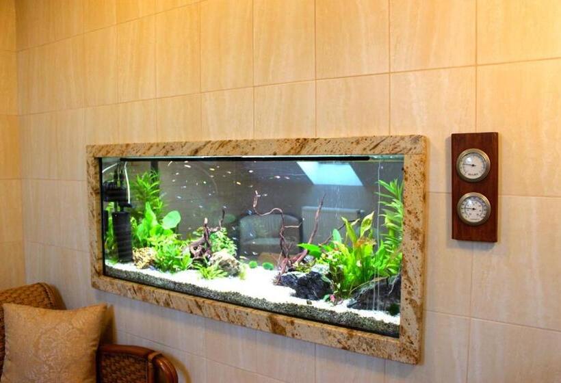 דירת חדר, Dworek