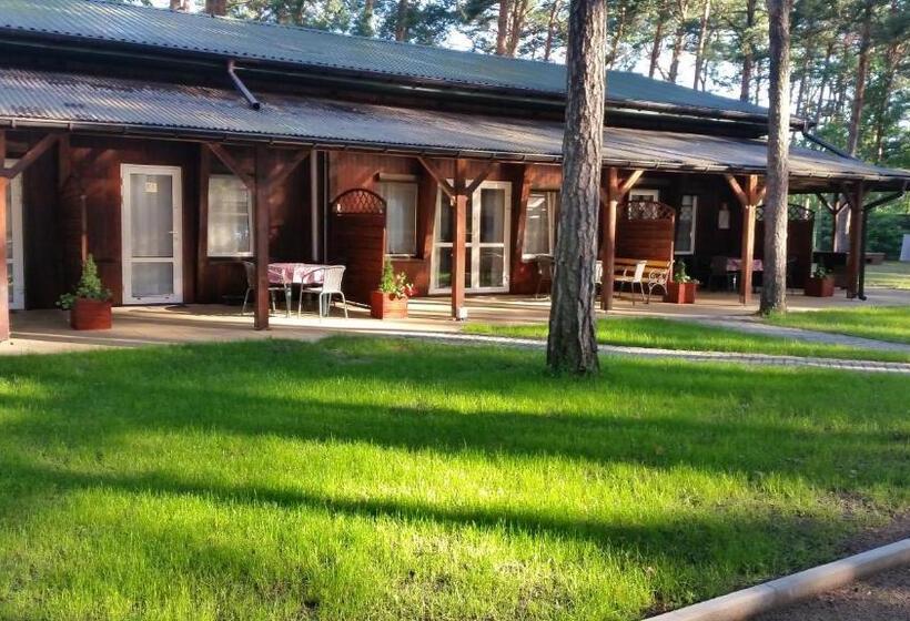 Студия Стандарт, Eljot