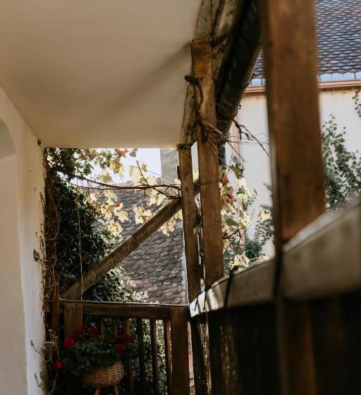 اتاق خانوادگی, Fronius Boutique Residence