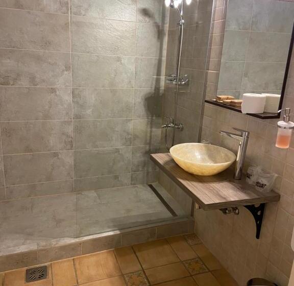 اتاق خانوادگی, Fronius Boutique Residence