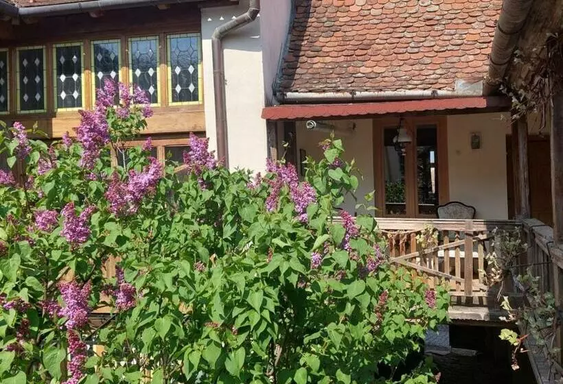 ファミリールーム, Fronius Boutique Residence