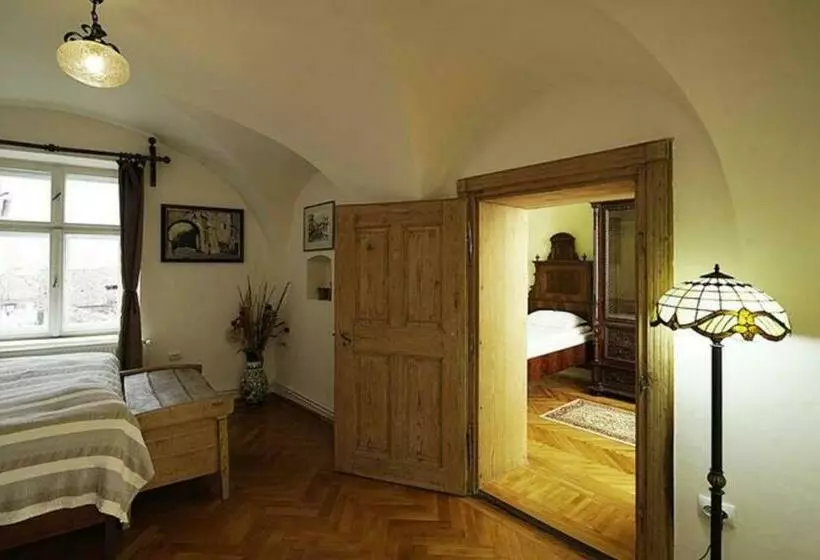 ファミリールーム, Fronius Boutique Residence
