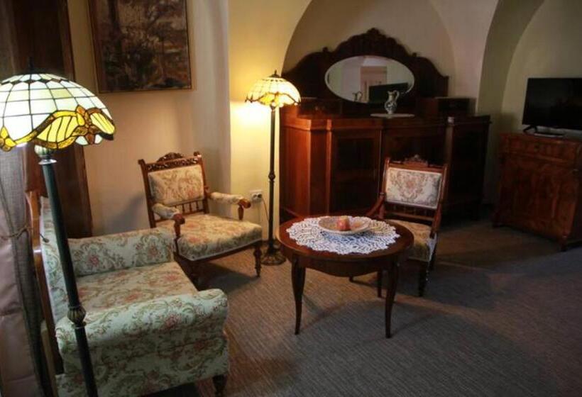 Семейный Номер, Fronius Boutique Residence