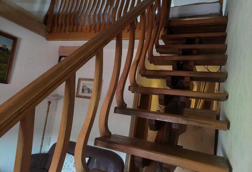 استودیوی استاندارد, Fronius Boutique Residence