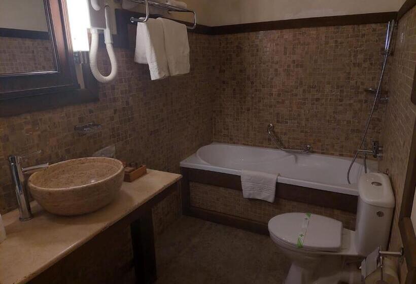 استودیوی استاندارد, Fronius Boutique Residence