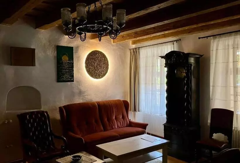１ベッドルームのデラックスアパートメント, Fronius Boutique Residence