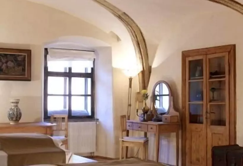 デラックスルーム, Fronius Boutique Residence