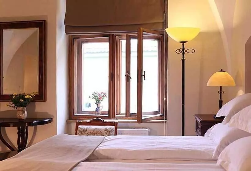 デラックスルーム, Fronius Boutique Residence