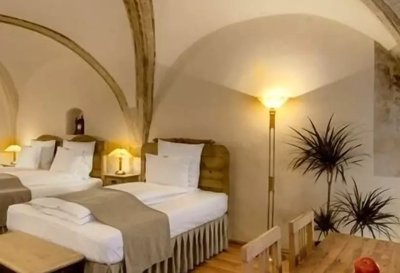 デラックスルーム, Fronius Boutique Residence