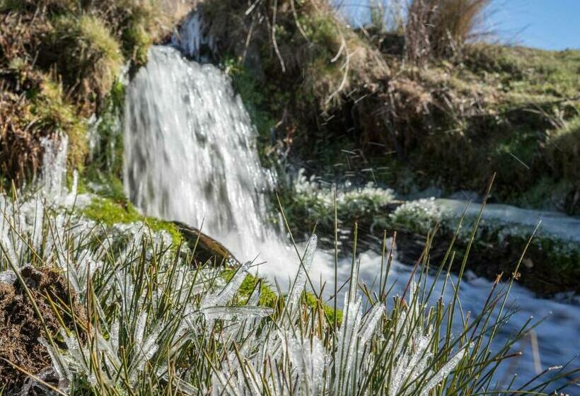 Номер Стандарт, Maravedí