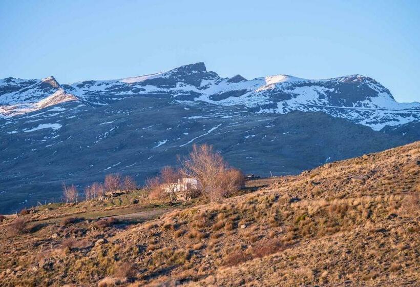 Номер Стандарт, Maravedí