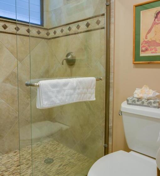 サイドオーシャンビュースタンダードルーム, Hale Napili