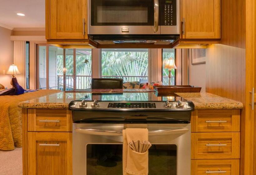 サイドオーシャンビュースタンダードルーム, Hale Napili