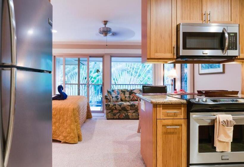 サイドオーシャンビュースタンダードルーム, Hale Napili