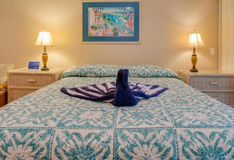 ガーデンビューのスタンダードワンルーム, Hale Napili