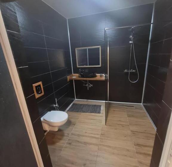 غرفة قياسية, Jan