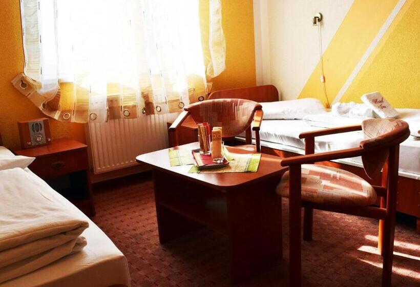 غرفة قياسية, Jan