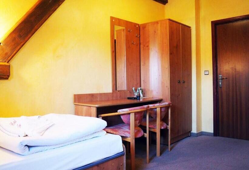 غرفة قياسية فردية, Jan