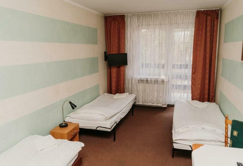 스탠다드 트리플 룸, Kinga