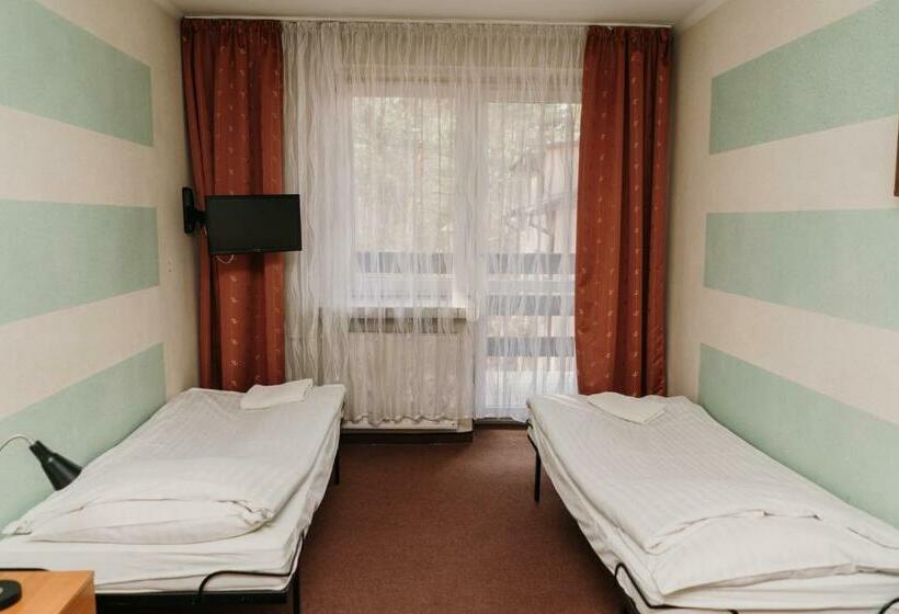 스탠다드 트리플 룸, Kinga