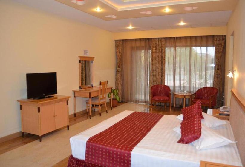 스탠다드 룸, La Scoica Land