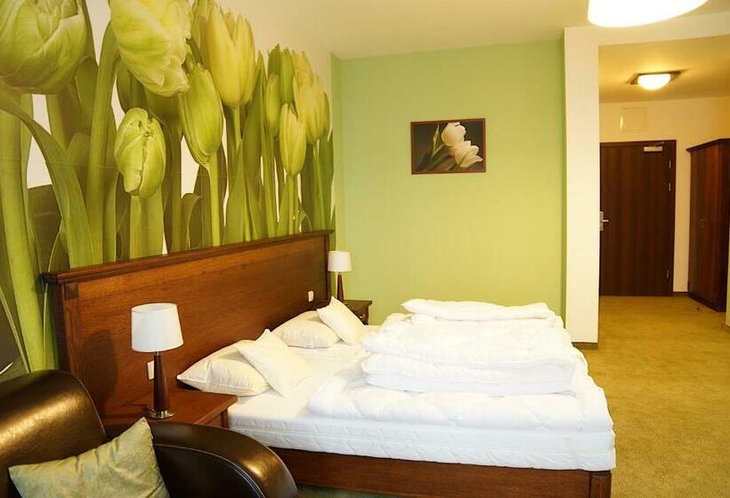 スタンダードルーム, Neo Międzyrzecz