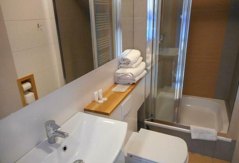 اتاق استاندارد یک نفره, Platan