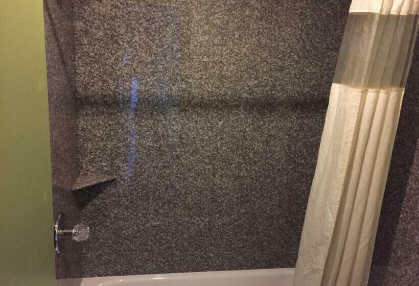 اتاق استاندارد با تخت بزرگ, Victorian Inn Midland