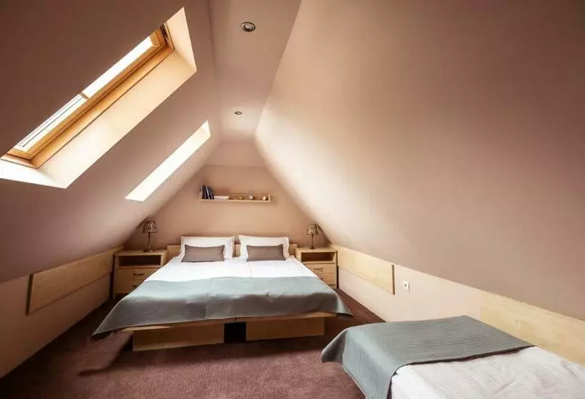 Standard Kolmen Hengen Huone, Villa Elise Park Pension