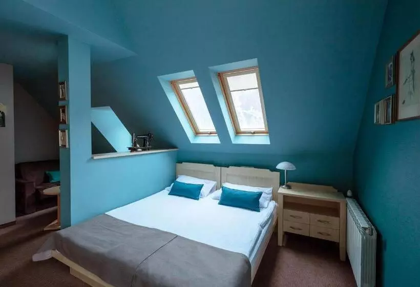 Comfort-huone, Villa Elise Park Pension
