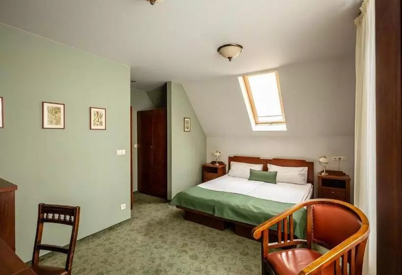 Comfort-huone, Villa Elise Park Pension