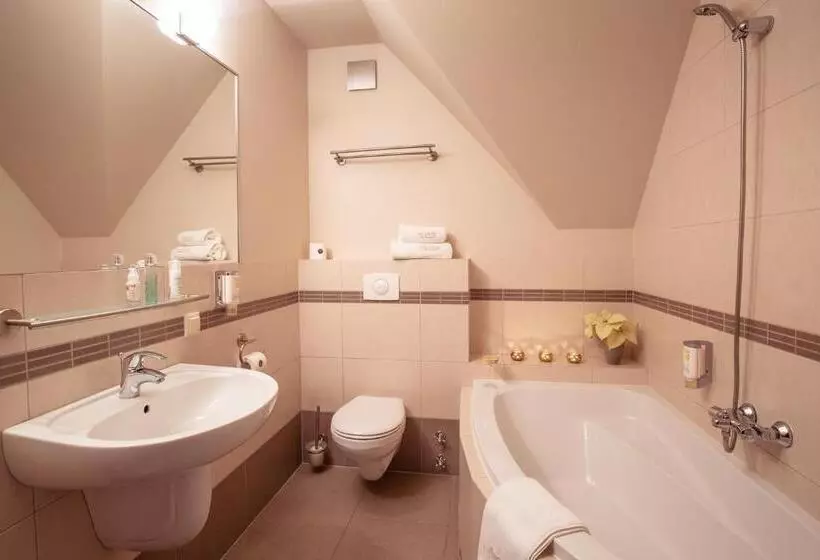 Comfort Kolmen Hengen Huone, Villa Elise Park Pension