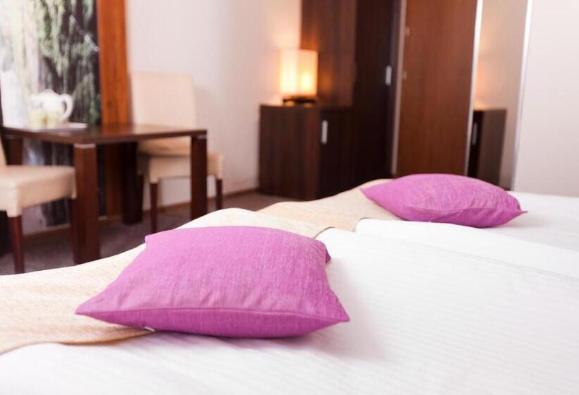 חדר סופריור, Vital&spa Resort Szarotka