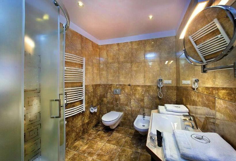 חדר סטנדרט, Woiński Spa