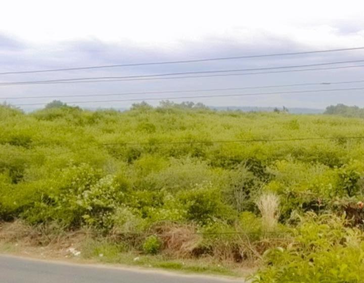 エコノミールーム, Karma Homestay