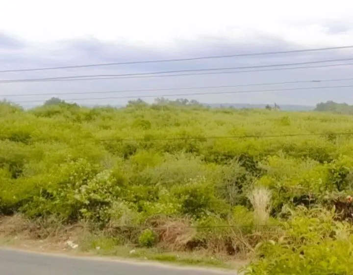 エコノミールーム, Karma Homestay